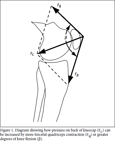 Akshar_Pediatrics_Patellofemoral Pain Syndrome (Care of the Young Athlete) 1